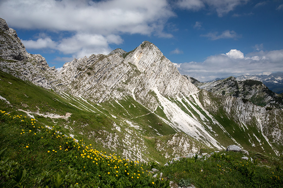 S poti proti Konjskemu sedlu
S poti proti Konjskemu sedlu,
Ključne besede: konjsko sedlo snežni vrh vogel