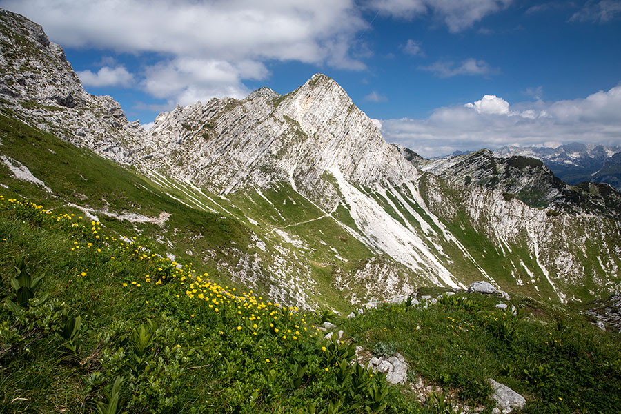 Pod Voglom
S poti Vogel - Konjsko sedlo.
Ključne besede: vogel konjsko sedlo