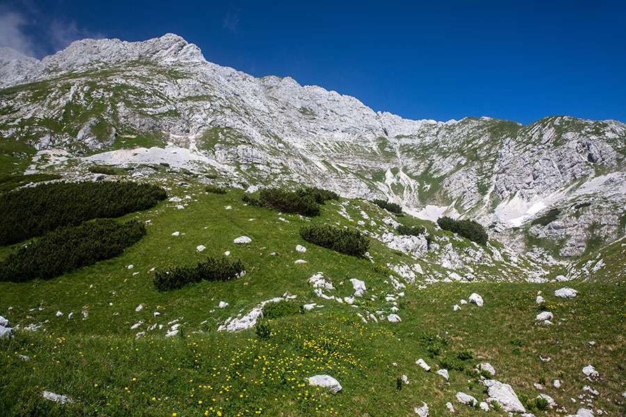 Tosc
Tosc posnet iz konte med Velikim Draškim vrhom in Toscem.
Ključne besede: veliki draški vrh tosc