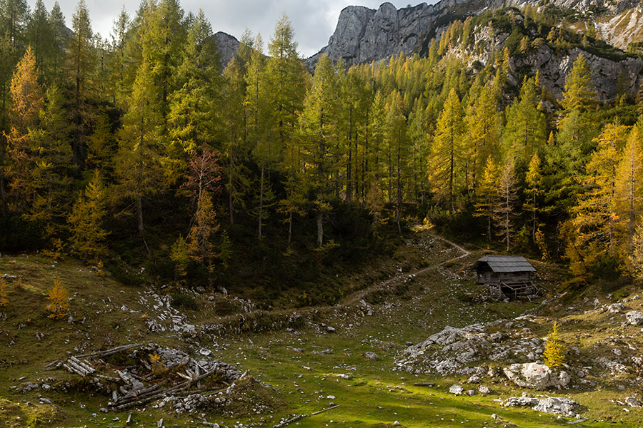 Mišeljska planina
Mišeljska planina.
Ključne besede: mišeljska planina