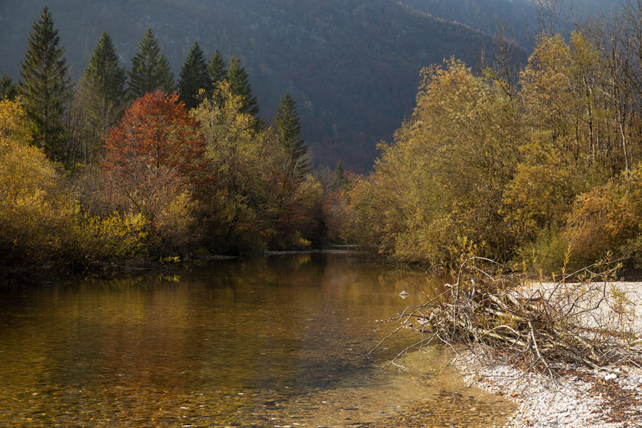 Savica
Savica, tik pred iztekom v Bohinjsko jezero.
Keywords: bohinj bohinjsko jezero ukanc savica