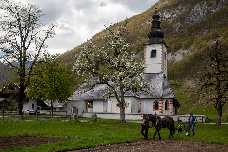 Oranje njive
Oranje njive s konjem.
Keywords: bohinj stara fužina