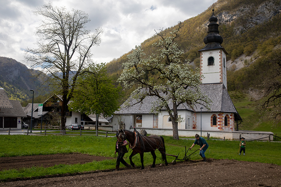 Oranje njive s konjem
Oranje njive s konjem.
Ključne besede: bohinj stara fužina
