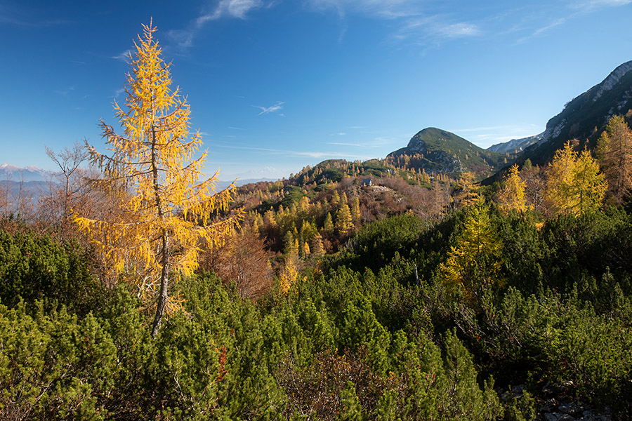 Na Glinu
Na Glinu.
Ključne besede: čez glin gradovec