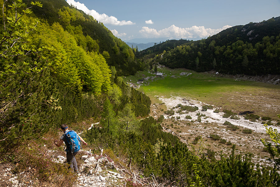 Na planino Poljana
Na planino Poljana.
Ključne besede: planina poljana