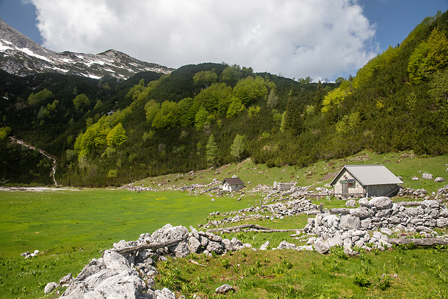 Planina Poljana
Planina Poljana.
Ključne besede: planina poljana