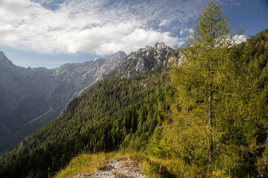 Proti Knezovi planini
Proti Knezovi planini.
Ključne besede: knezova planina
