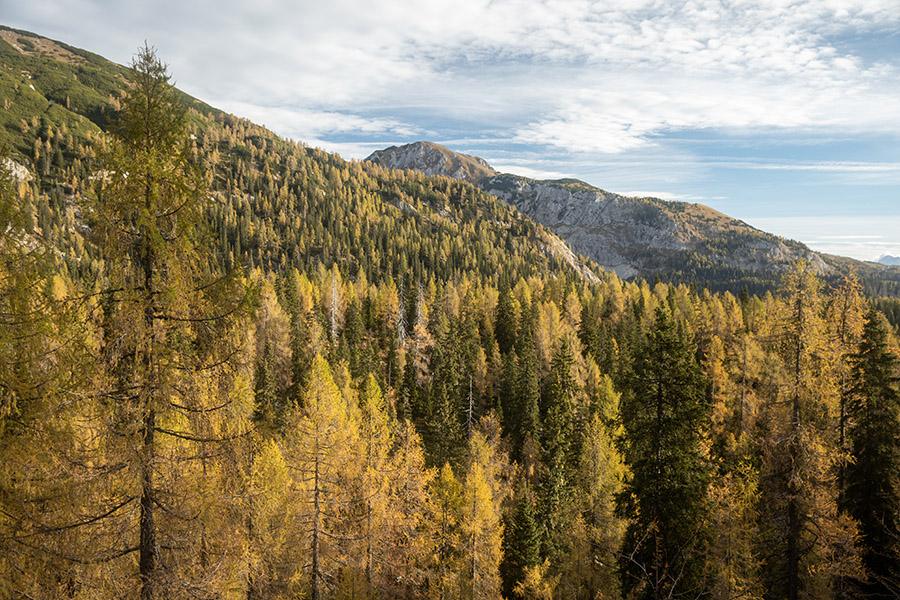 Nad Dednim poljem
Nad planino Dedno polje. Proti Ogradom.
Ključne besede: dedno polje ogradi