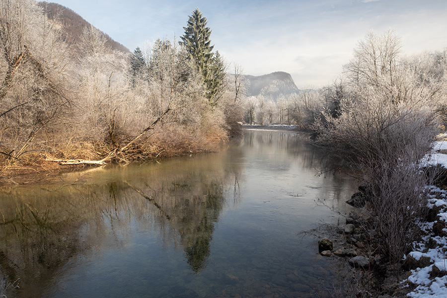 Sava
Sava v ivju.
Ključne besede: sava bohinj