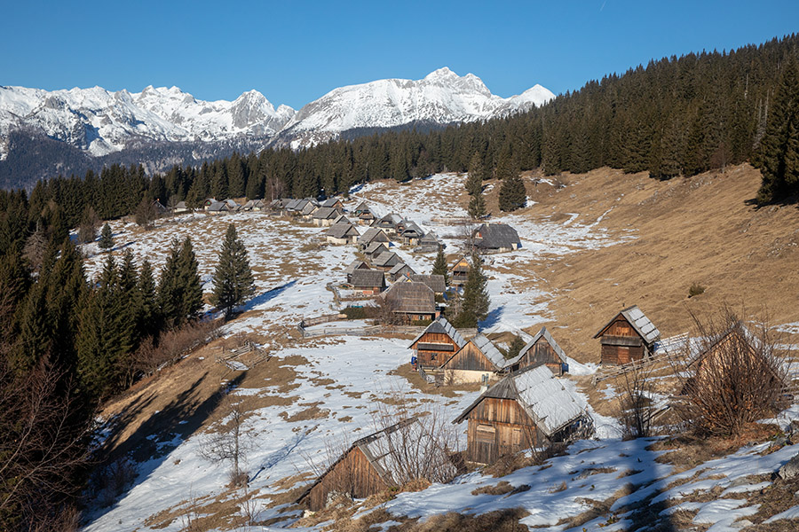 Planina Zajamniki
Planina Zajamniki je skoraj brez snega. Nekaj ga je v senčnih legah, prisojne lege so skoraj kopne. Pot iz Zgornjih Podjelj je  b.p. 
Ključne besede: planina zajamniki