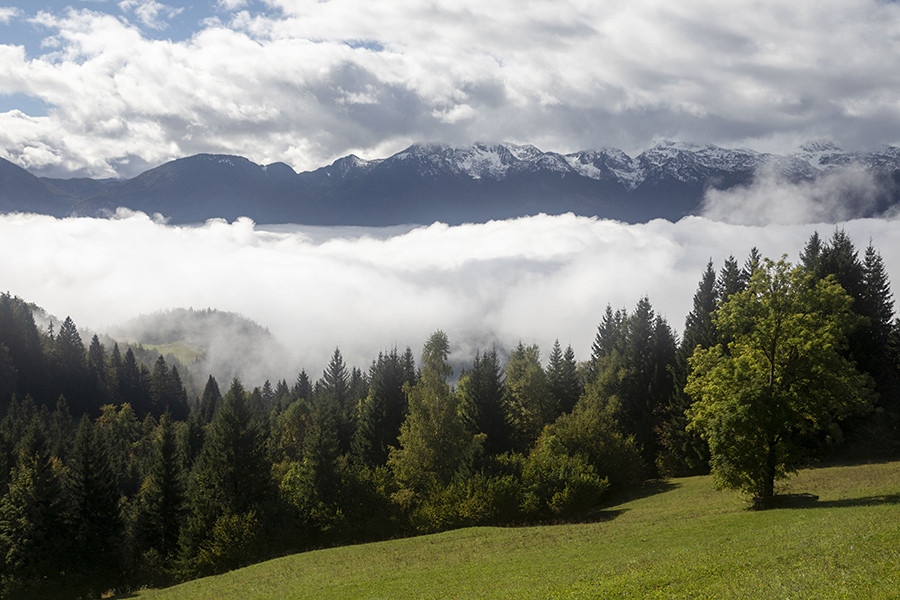 Megle
Z vasi Zgornje Podjelje
Ključne besede: zgornjr podjelje bohinj