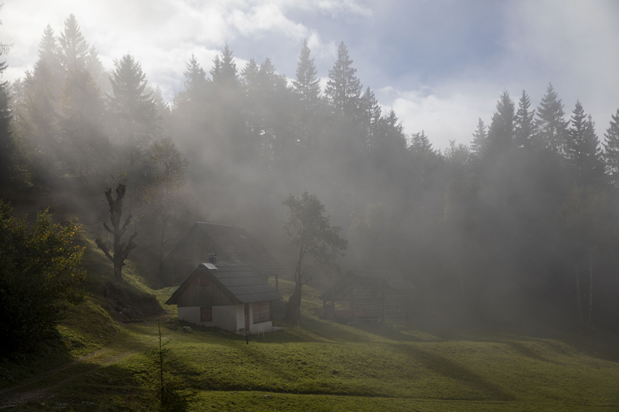 V meglicah
Med vasjo Podjelje in Pokrovcem.
Ključne besede: podjelje pokrovc bohinj