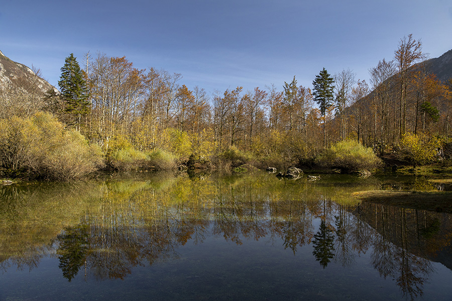 Presihajoče jezero
Presihajoče jezero v Ukancu.
Ključne besede: presihajoče jezero ukanc bohinj