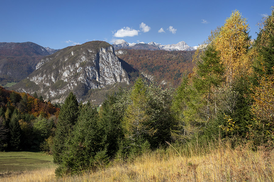 Studor
Studor s Senožeti.
Ključne besede: studor senožeta