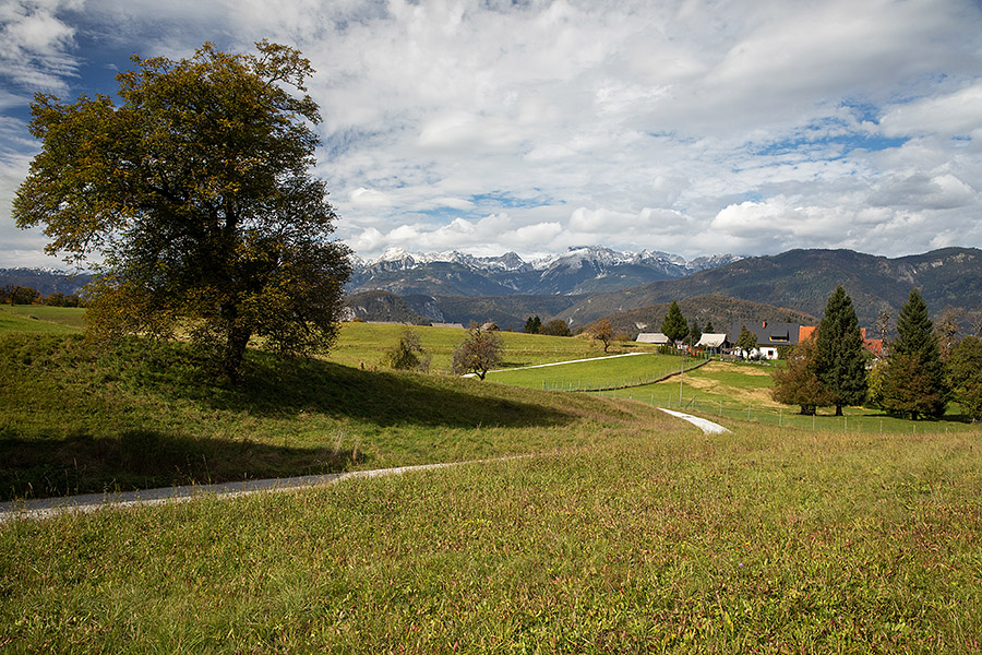 Na Ravnah
Vasica Ravne v Bohinju.
Ključne besede: ravne bohinj triglavsko pogorje
