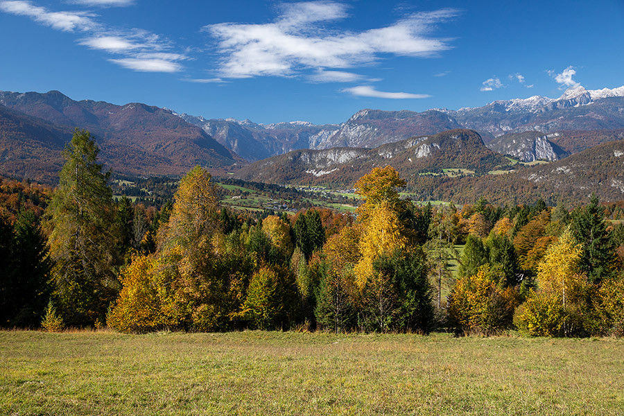 Na Nemškem Rovtu
Mlake na Nemškem Rovtu.
Ključne besede: nemški rovt mlake spodnja bohinjska dolina