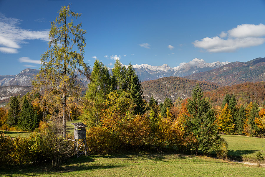 Mlake na Nemškem Rovtu
Mlake na Nemškem Rovtu.
Ključne besede: nemški rovt mlake bohinj