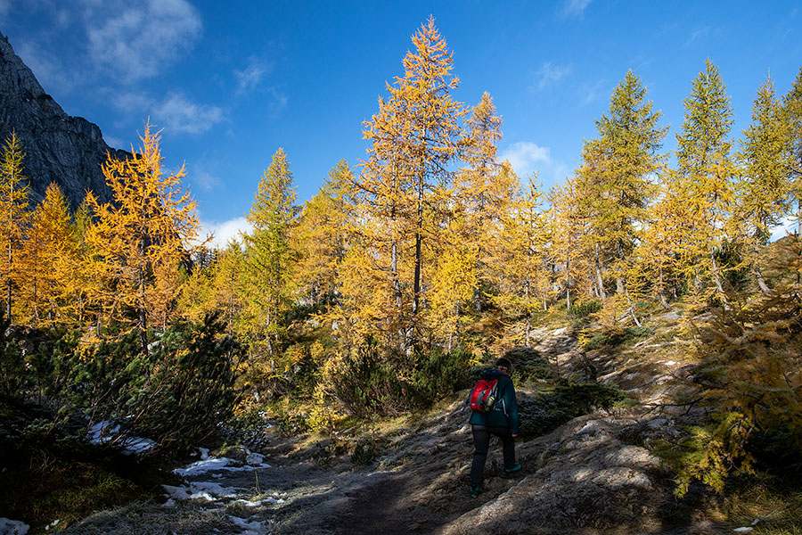 Macesni jeseni
S poti na Slemenovo špico.
Ključne besede: slemenova špica