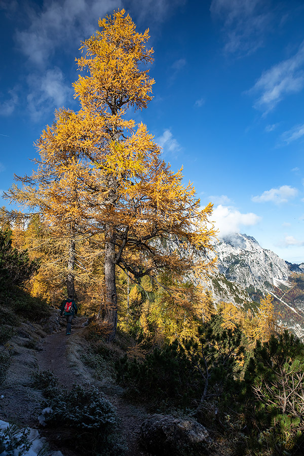 Pot na Slemenovo špico
Pot na Slemenovo špico.
Ključne besede: slemenova špica
