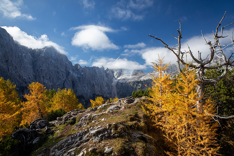 Na Slemenovi špici
Na Slemenovi špici.
Ključne besede: slemenova špica jalovec