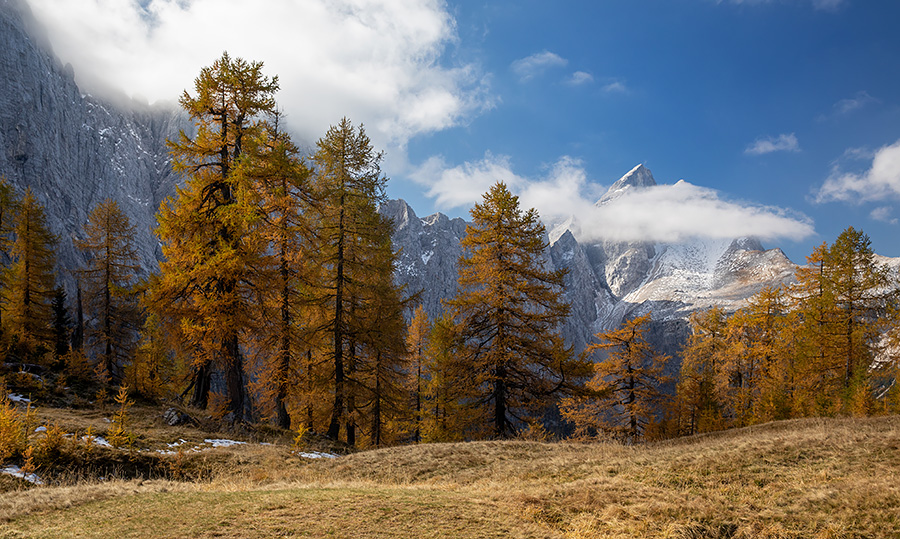 Slemenova špica
Slemenova špica.
Ključne besede: slemenova špica jalovec
