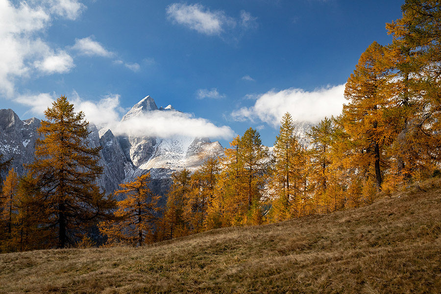 Na Slemenovi špici
Na Slemenovi špici.
Ključne besede: slemenova špica jalovec