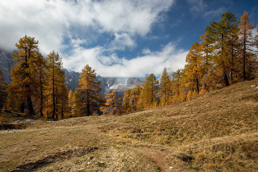 Slemenova špica
Slemenova špica.
Ključne besede: slemenova špica jalovec