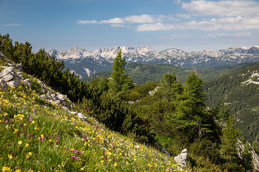 Z Ogradov
Pod vrhom Ogradov. Južne Bohinjsko Tolminske gore. 
Ključne besede: ogradi južne bohinjsko tolminske gore