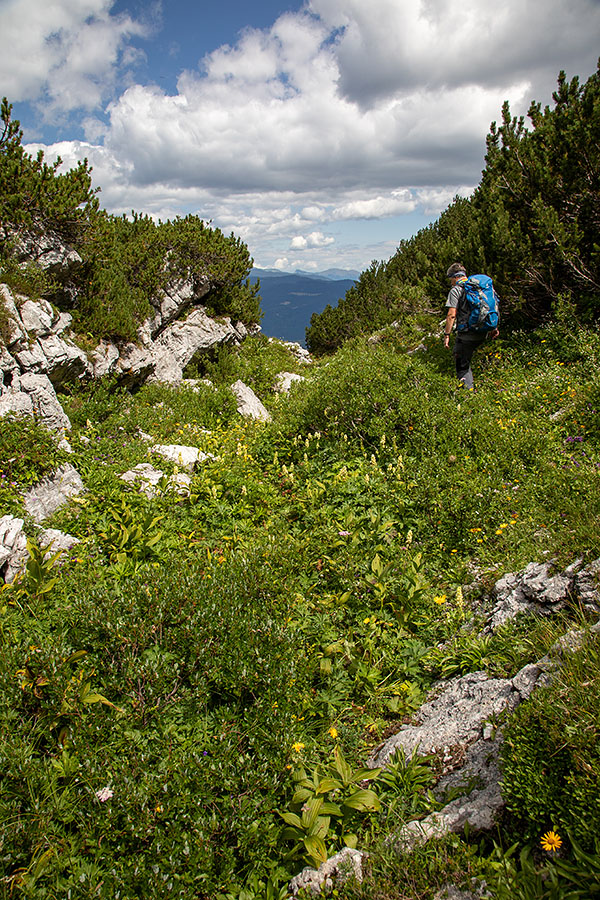 S konte Matajurc
Spust s konte Matajurc proti planini Poljana.
Ključne besede: planina poljana konta matajurc