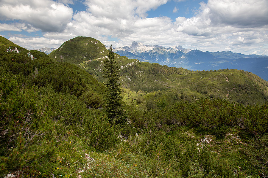 Gradovec
Spust proti planini Poljana s konte Matajurc.
Ključne besede: gradovec triglav poljana planina konta matajurc