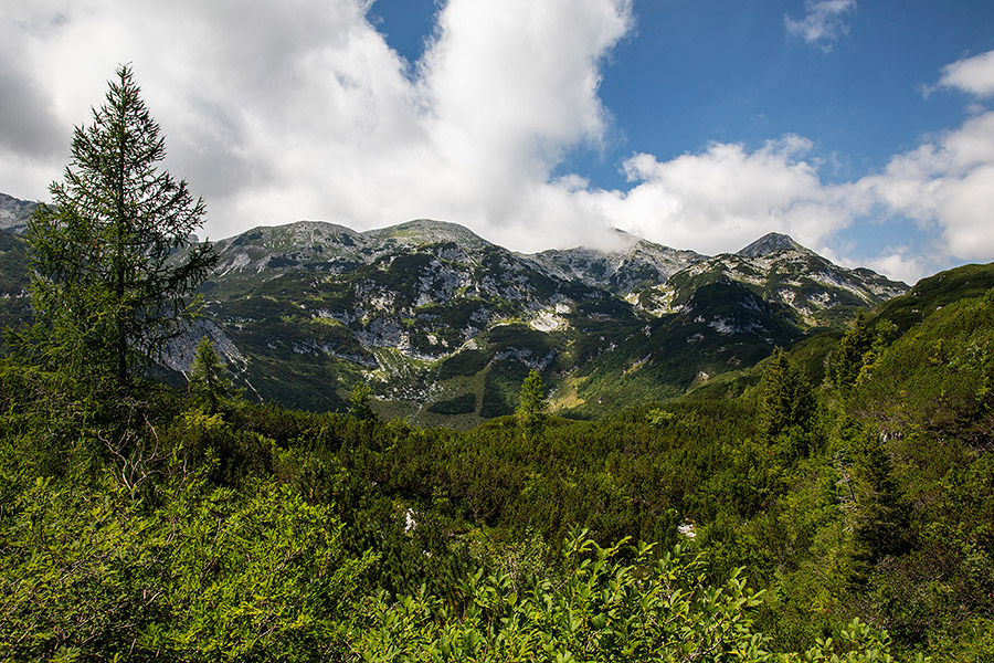 Mahavšček in Bogatin
Mahavšček in Bogatin s poti planina Govnjač - Komna.
Ključne besede: mahavšček bogatin planina govnjač komna