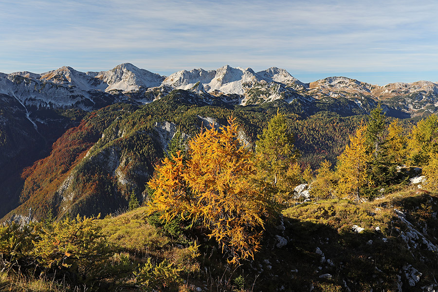 S Pršivca
Pogled na Južne Bohinjske gore.
Ključne besede: pršivec južne bohinjske gore