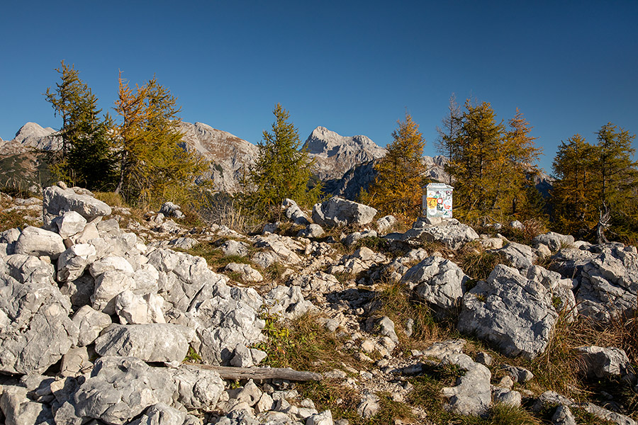 Vrh Pršivca
Vrh Pršivca, zadaj je Triglav.
Ključne besede: pršivec triglav