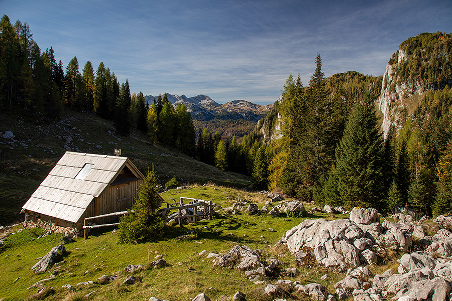 Planina Viševnik
Na planini Viševnik.
Ključne besede: viševnik planina