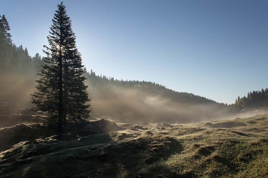 Planina Pečana
Na planini Pečana.
Ključne besede: planina pečana