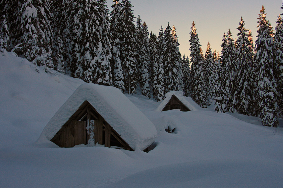 Pečana v snegu
Planina Pečana pozimi.
Ključne besede: pečana planina