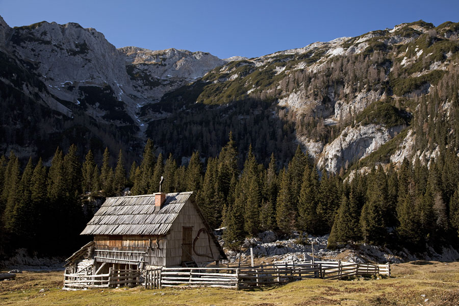 Laz II.
Idilični stan na planini v Lazu.
Ključne besede: planina v lazu