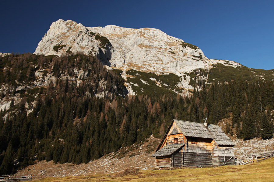 Laz IV.
Planina v Lazu in še zadnji pogled na Debeli vrh.
Ključne besede: planina v lazu debeli vrh