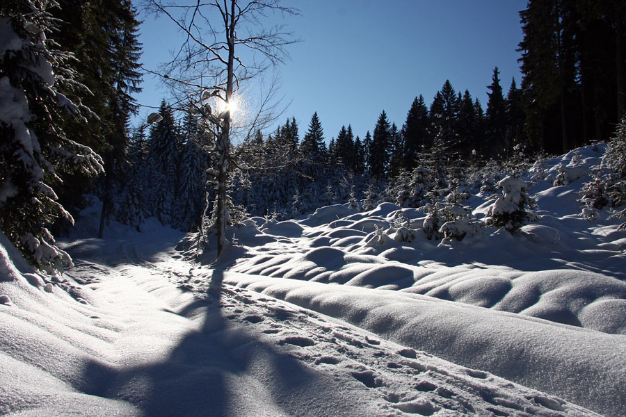 Utrinek z Jelovice
Nekje nad Ribčevo planino. Predeli s soncem so na Jelovici redki.
Ključne besede: ribčeva planina zima