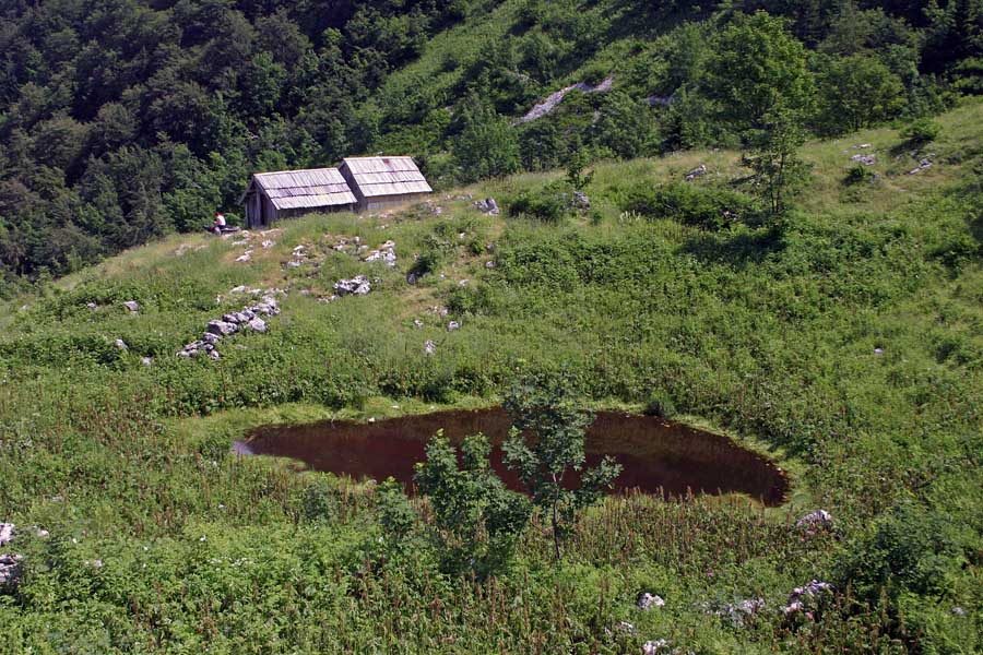 Planina Osredki
Planina Osredki s svojo mlako - rajem za belouške, pa tudi kakšen gad se najde...
Ključne besede: planina osredki