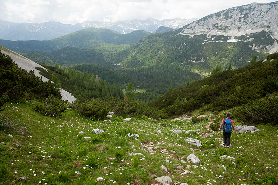 V planino Laz
Spust z Lazoviškega prevala proti planini Laz.
Ključne besede: debeli vrh planina laz lazoviško sedlo