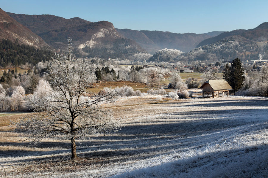 V ivju V.
Z Dobrave proti Bohinjski Bistrici.
Ključne besede: bohinj dobrava bohinjska bistrica