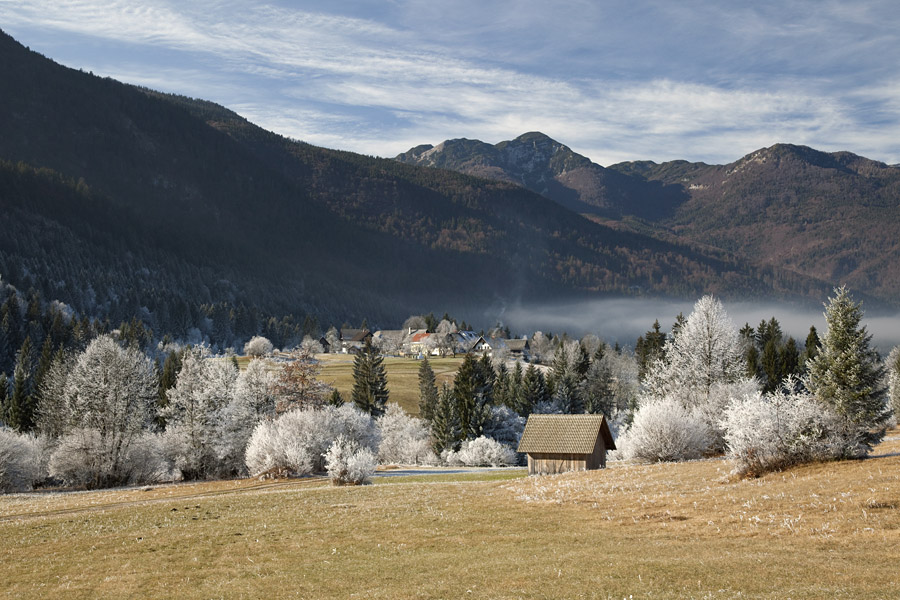V ivju VI.
Na Dobravi. Vasica zadaj je Žlan.
Ključne besede: bohinj dobrava žlan