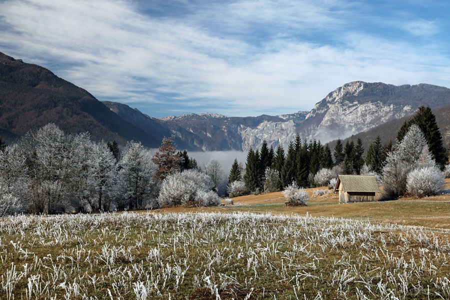 V ivju VII.
Na Dobravi. Nad jezerom še vztraja megla.
Ključne besede: bohinj dobrava