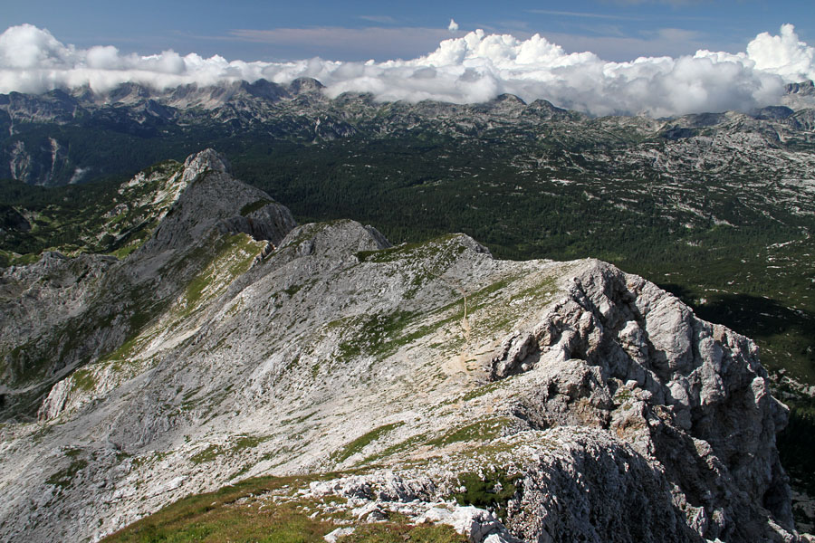 Z Male Zelnarice
Z male Zelnarice proti Kopici in Tičaricam.
Ključne besede: mala zelnarica kopica tičarica