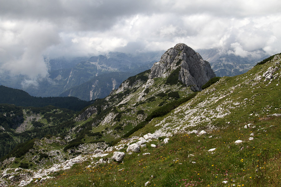 Velika Tičarica
Velika Tičarica izpod Kopice.
Ključne besede: velika tičarica kopica