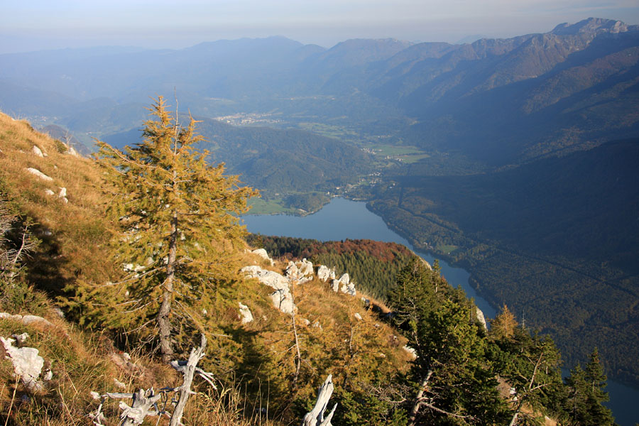 Jezero s Pršivca
Del Bohinjskega jezera s Pršivca.
Ključne besede: bohinjsko jezero pršivec bohinj