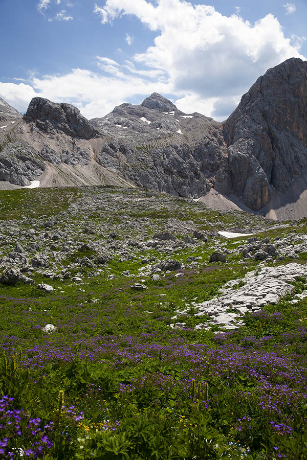 Zadnji Vogel
Zadnji Vogel.
Ključne besede: veliko špičje zadnji vogel