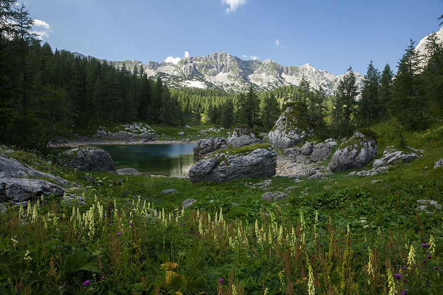 Pri Dvojnem jezeru
Pri Dvojnem jezeru
Ključne besede: veliko špičje dvojno jezero