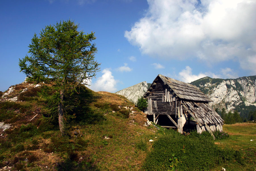 Planina Krstenica II
Na planini Krstenica.
Ključne besede: planina krstenica